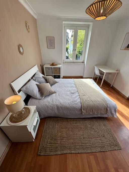 Magnifique Appartement F3. 4 A 6 Personnes Lutterbach Exteriör bild