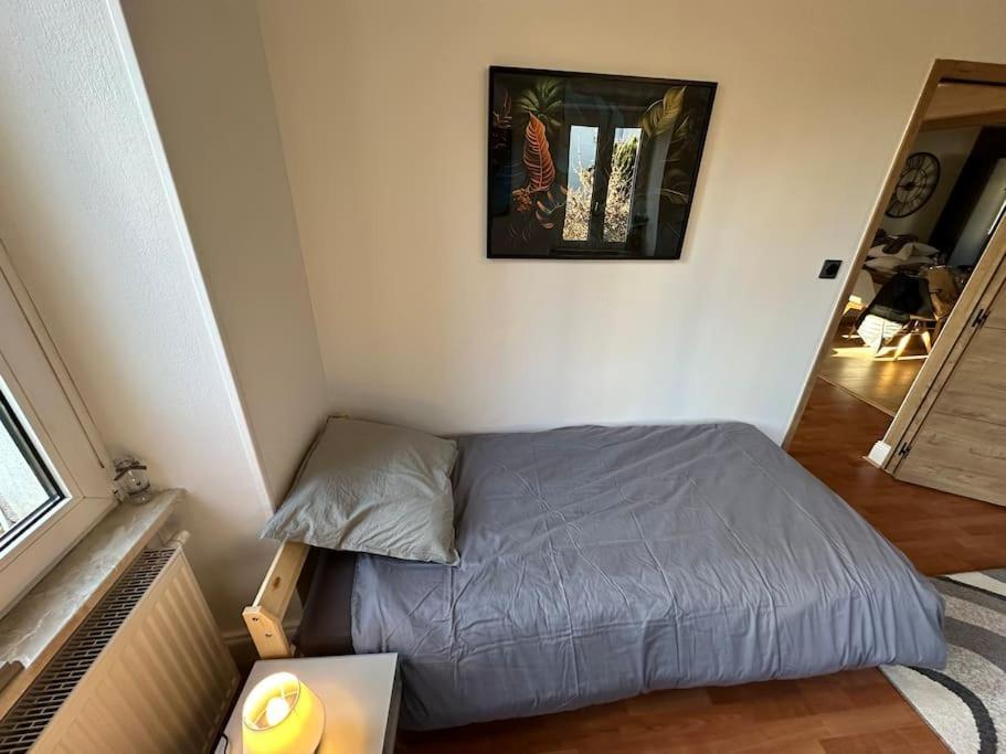 Magnifique Appartement F3. 4 A 6 Personnes Lutterbach Exteriör bild